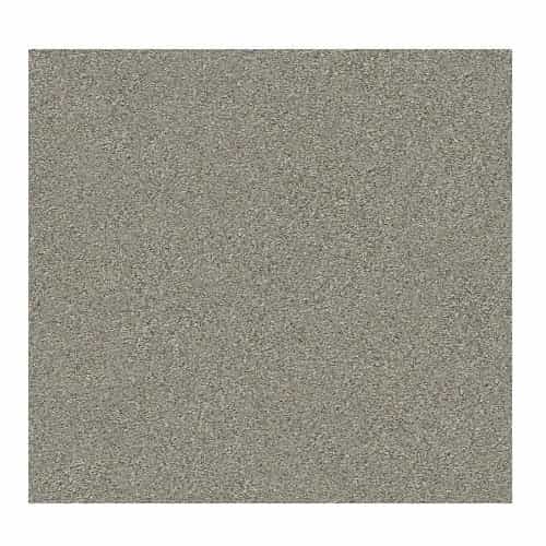 Trancas Tempting Taupe Polyester Carpet - Textured