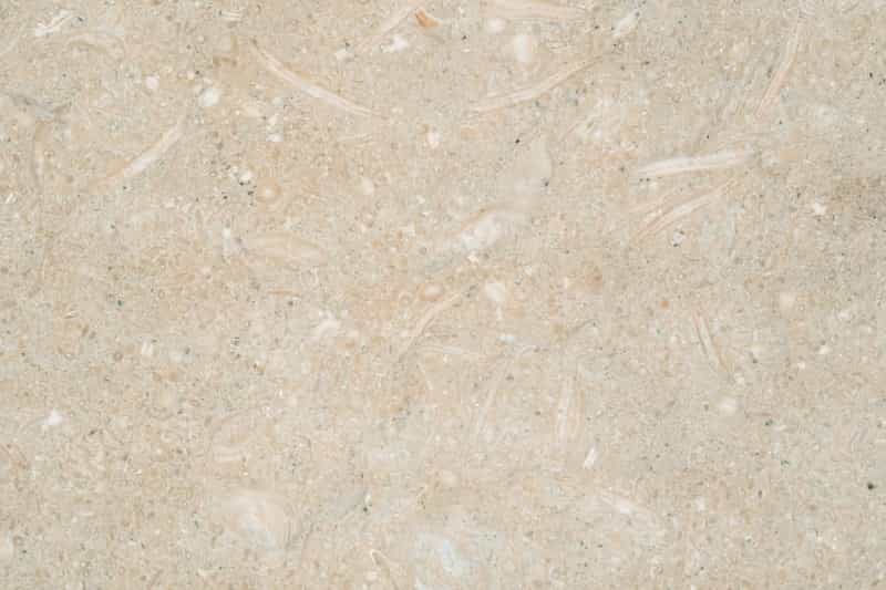Sea Grass Limestone Tile - Honed