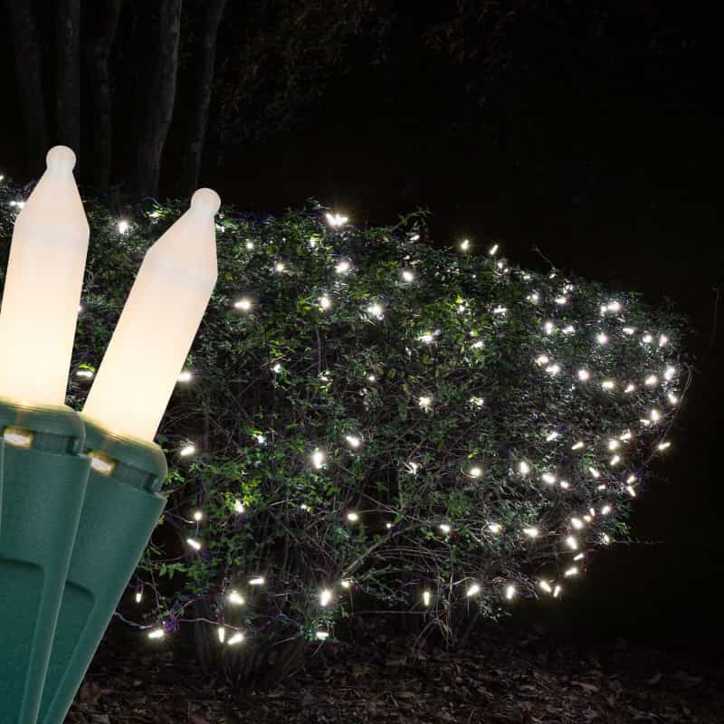 White Frost Mini Christmas Net Lights On Green Wire
