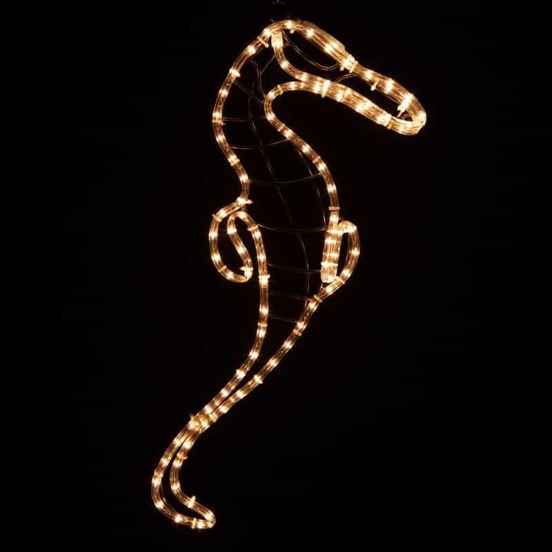 Seahorse, Clear Lights
